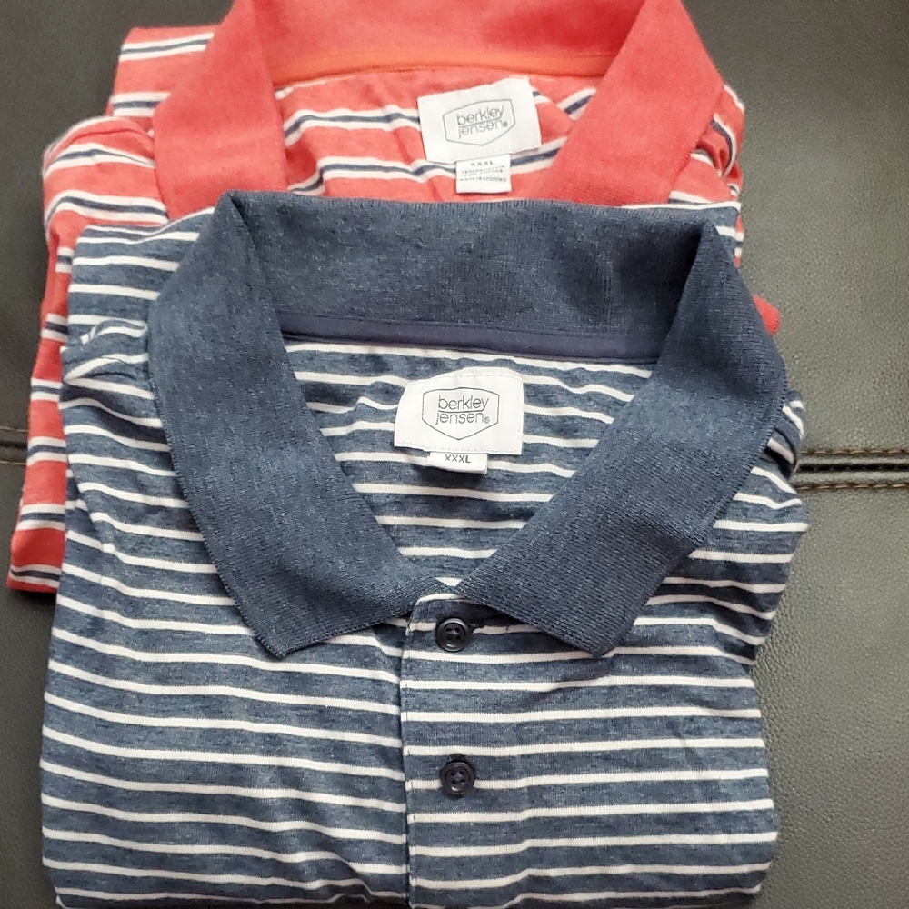 Berkley Jensen Men's Polo Shirt - Blue and Red Stripes